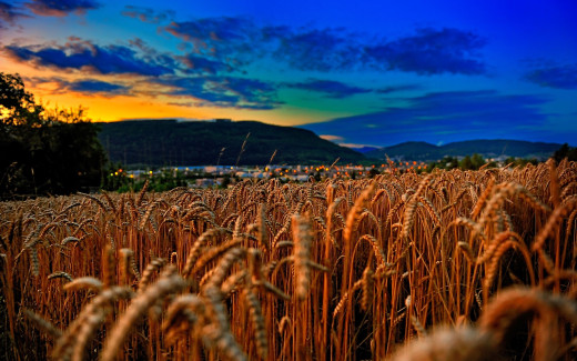 510589 (a): :2560x1600